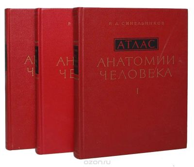 Лот: 6224101. Фото: 1. Атлас анатомии. Книги