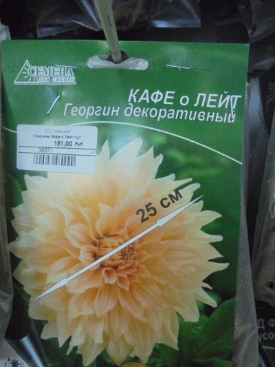 Лот: 7309483. Фото: 1. Семена. Георгин декоративный... Садовые цветы