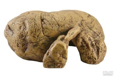Лот: 14613295. Фото: 1. Укрытие-пещера Exo-Terra Reptile... Другое (растения и животные)