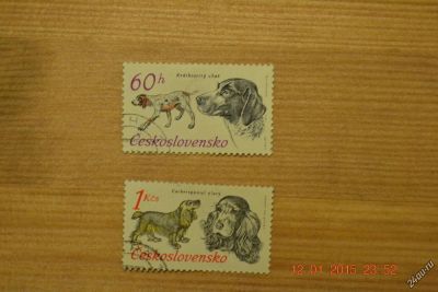 Лот: 6768095. Фото: 1. Марки Чехословакии 1973г. Собаки. Марки