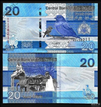 Лот: 15842109. Фото: 1. Гамбия 20 даласи 2019 года. Идеал... Африка