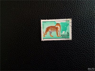 Лот: 9087310. Фото: 1. Венгрия 3. Марки