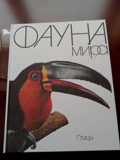 Лот: 24887228. Фото: 1. Книга "Фауна мира. Птицы". Познавательная литература