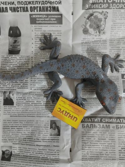 Лот: 19813230. Фото: 1. Ящерица игрушка. Другое (игрушки)