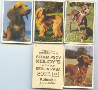Лот: 11428071. Фото: 1. Зарубежные вкладыши по теме «Серия... Наклейки, карточки, вкладыши