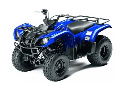 Лот: 25363119. Фото: 1. Квадроцикл GRIZZLY 125. Снегоходы, квадроциклы