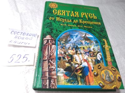 Лот: 19346717. Фото: 1. Мизун, Ю.В.; Мизун, Ю.Г. Святая... История