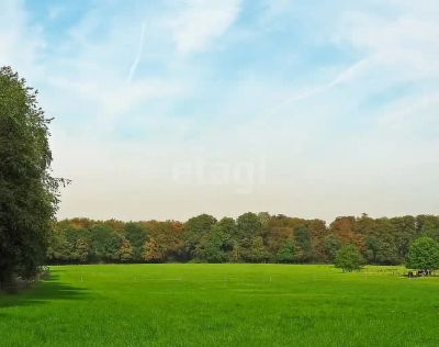 Лот: 25789628. Фото: 1. участок , садоводческое некоммерческое... Земельные участки