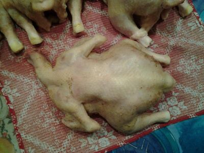Лот: 14034436. Фото: 1. Мясо домашнего бройлера. Мясо, птица, яйцо