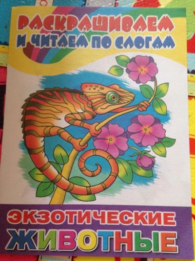 Лот: 9219498. Фото: 1. раскраска9. Развивающие