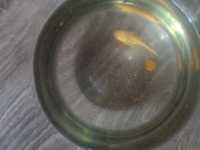 Лот: 12339212. Фото: 1. сом анциструс желтый самец обмен... Рыбки