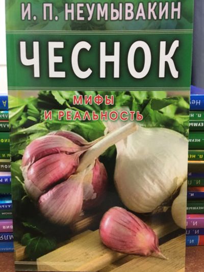 Лот: 11881524. Фото: 1. И.П. Неумывакин "Чеснок. Мифы... Популярная и народная медицина