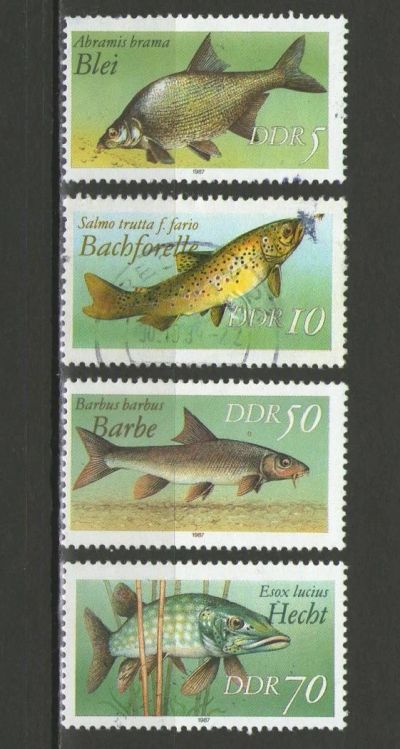 Лот: 9473870. Фото: 1. Почтовые марки ГДР. Рыбы. 1987... Марки