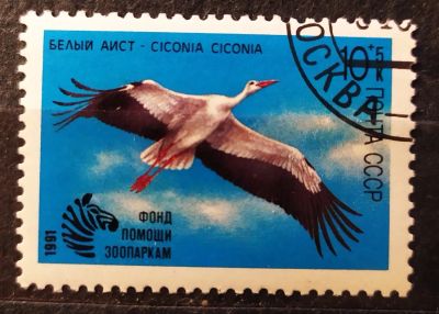 Лот: 21987208. Фото: 1. СССР 1991 Почтово-благотворительный... Марки