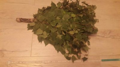 Лот: 10066633. Фото: 1. веники березовые от 17 рублей. Банные принадлежности