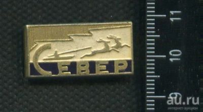 Лот: 18208462. Фото: 1. ( № 6515 ) значки, Север. Сувенирные