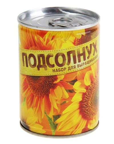 Лот: 7495822. Фото: 1. Растущая трава «Подсолнух». Сувенирные мелочи