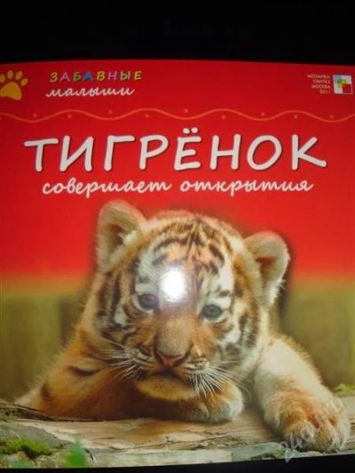 Лот: 1258074. Фото: 1. Забавные малыши. Тигренок совершает... Другое (детям и родителям)
