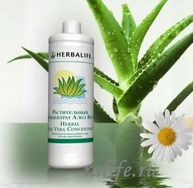 Лот: 5151633. Фото: 1. Herbalife - (гербалайф) Концентрат... Диетическое питание