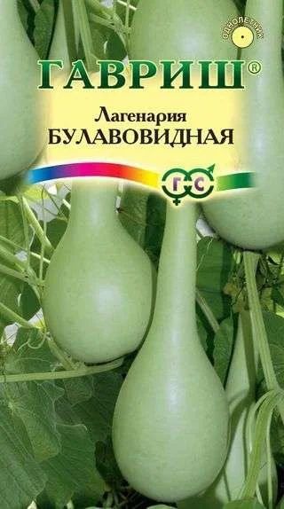 Лот: 11013301. Фото: 1. Лагенария Булавовидная 5шт. Овощи