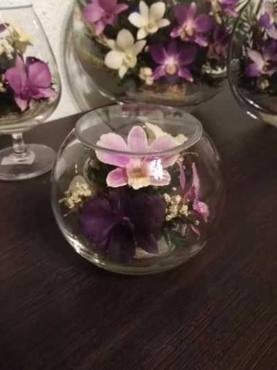 Лот: 9484742. Фото: 1. Натуральные цветы в стекле, орхидеи... Свежие цветы