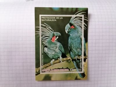 Лот: 25514906. Фото: 1. Экваториальная Гвинея. Попугаи... Марки