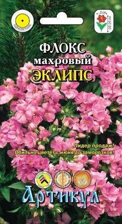 Лот: 11025569. Фото: 1. Флокс Эклипс 7шт. Садовые цветы