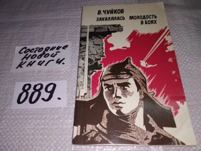 Лот: 11610121. Фото: 1. Закалялась молодость в боях, Василий... Познавательная литература