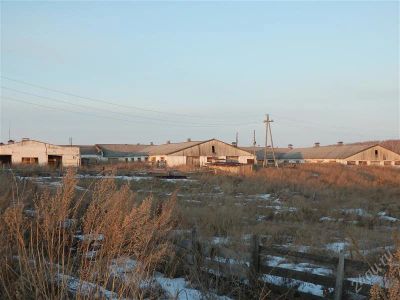 Лот: 1464067. Фото: 1. продам действующее сельхозпредприятие. Другое (готовый бизнес)