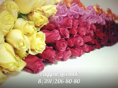 Лот: 6389766. Фото: 1. Букет из роз Классика 101 красная... Свежие цветы