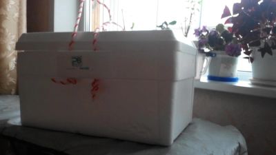 Лот: 4621789. Фото: 1. Piknik Box. Другое (туризм)