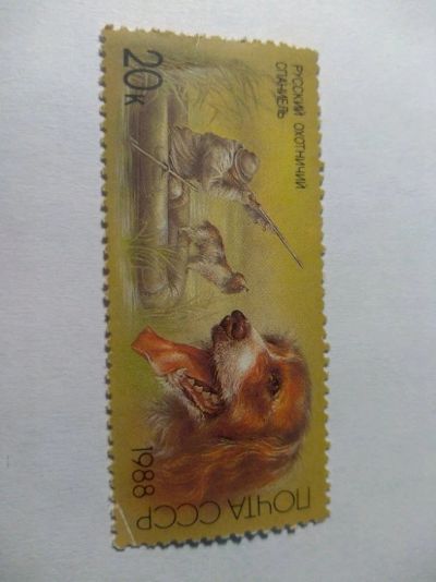 Лот: 13939183. Фото: 1. Марка ссср спаниель 1988. Марки