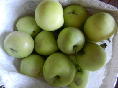 Лот: 8066685. Фото: 1. Яблоки сибирские. Овощи, фрукты, зелень