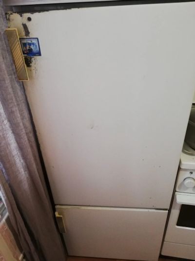 Лот: 15670216. Фото: 1. Холодильник бирюса. Холодильники, морозильные камеры