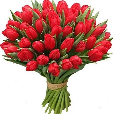 Лот: 6982401. Фото: 1. Букет из 25 тюльпанов за 1500... Другое (цветы, букеты)