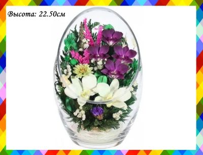 Лот: 16210992. Фото: 1. Живые Цветы в Вакууме Стекло Орхидеи. Вазы