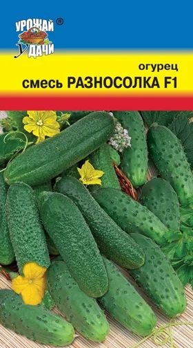 Лот: 10984207. Фото: 1. Смесь семян огурца "Разносолка... Овощи