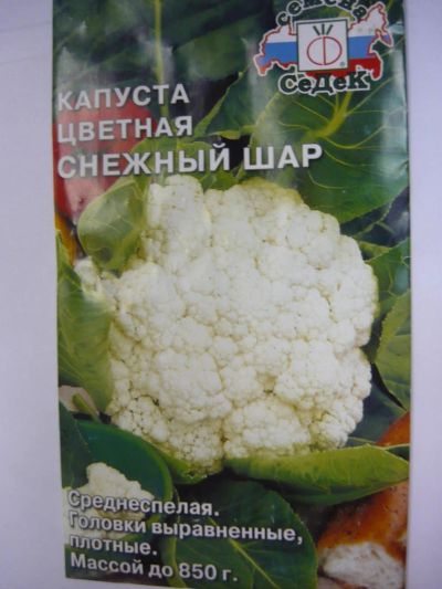 Лот: 4421353. Фото: 1. капуста цветная снежный шар. Другое (семена, рассада, садовые растения)