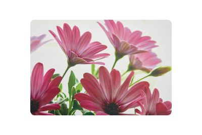Лот: 23947316. Фото: 1. Салфетка на стол HOFF Flowers. Скатерти, салфетки