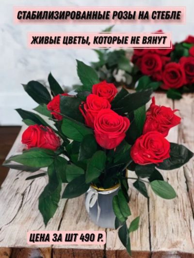 Лот: 24574985. Фото: 1. Букет из роз стабилизированных. Свежие цветы