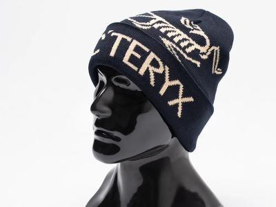 Лот: 21106284. Фото: 1. Шапка Arcteryx. Шарфы, платки