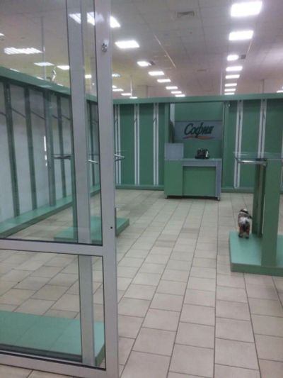 Лот: 6815145. Фото: 1. Сдам в аренду помещение в т/ц... Нежилое