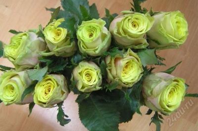 Лот: 2930742. Фото: 1. Свежие розы "Фэнси Куриоза", в... Сувенирные мелочи