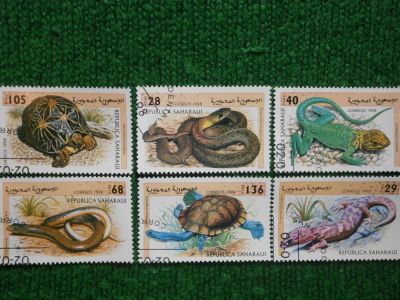 Лот: 9543115. Фото: 1. Марки, Рептилии, Сахара, 1998. Марки