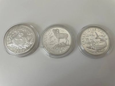 Лот: 19038530. Фото: 1. 1 Рубль Красная книга 2001 год... Россия после 1991 года