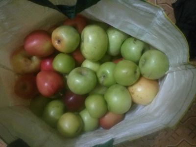 Лот: 15143450. Фото: 1. Яблоки,обмен. Овощи, фрукты, зелень