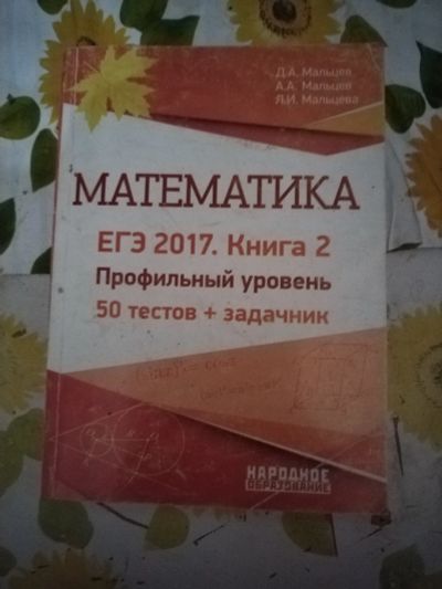 Лот: 24909059. Фото: 1. Книга Математика. ЕГЭ 2017. Для школы