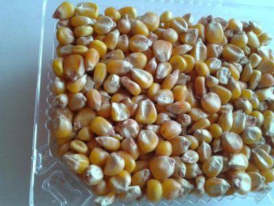 Лот: 5202819. Фото: 1. кукуруза в зернах. Крупы, сыпучие продукты