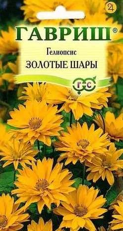 Лот: 11024747. Фото: 1. Гелиопсис шероховатый Золотые... Садовые цветы