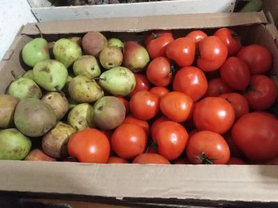 Лот: 14994560. Фото: 1. Лот №3, груши + помидоры. Овощи, фрукты, зелень